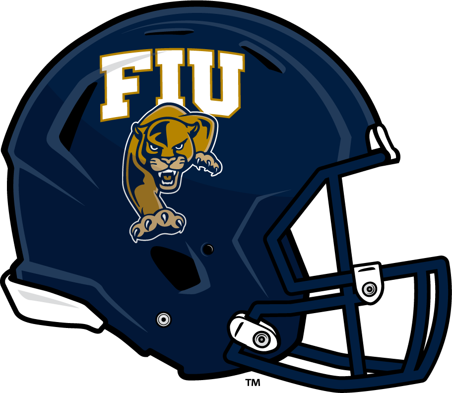 FIU Panthers 2010-Pres Helmet diy iron on heat transfer
